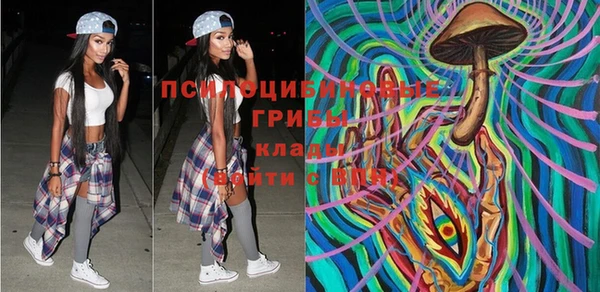 крисы Россошь